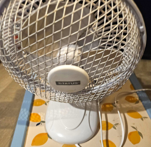 Status white table desk - white, fan